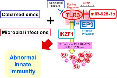 Susceptibility Genes and HLA for Cold Medicine-Related SJS/TEN with SOC